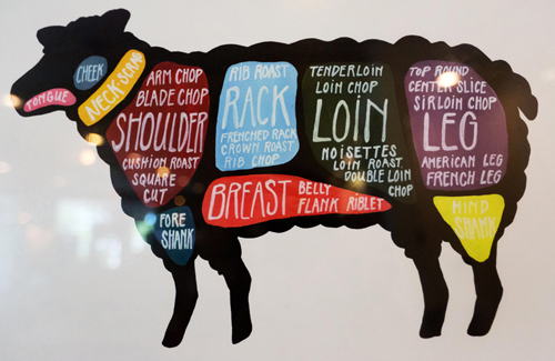 Chart of lamb cuts