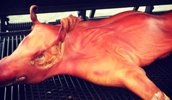 Close-up of a whole roasted pig